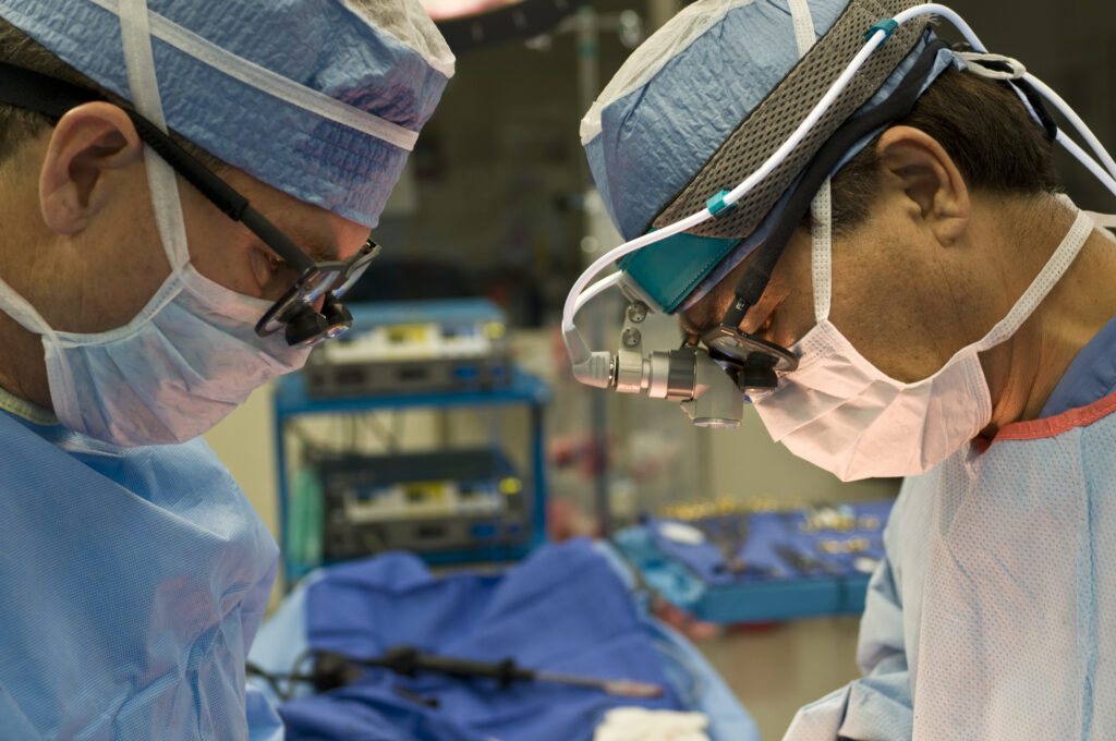 Two surgeons performing surgery.